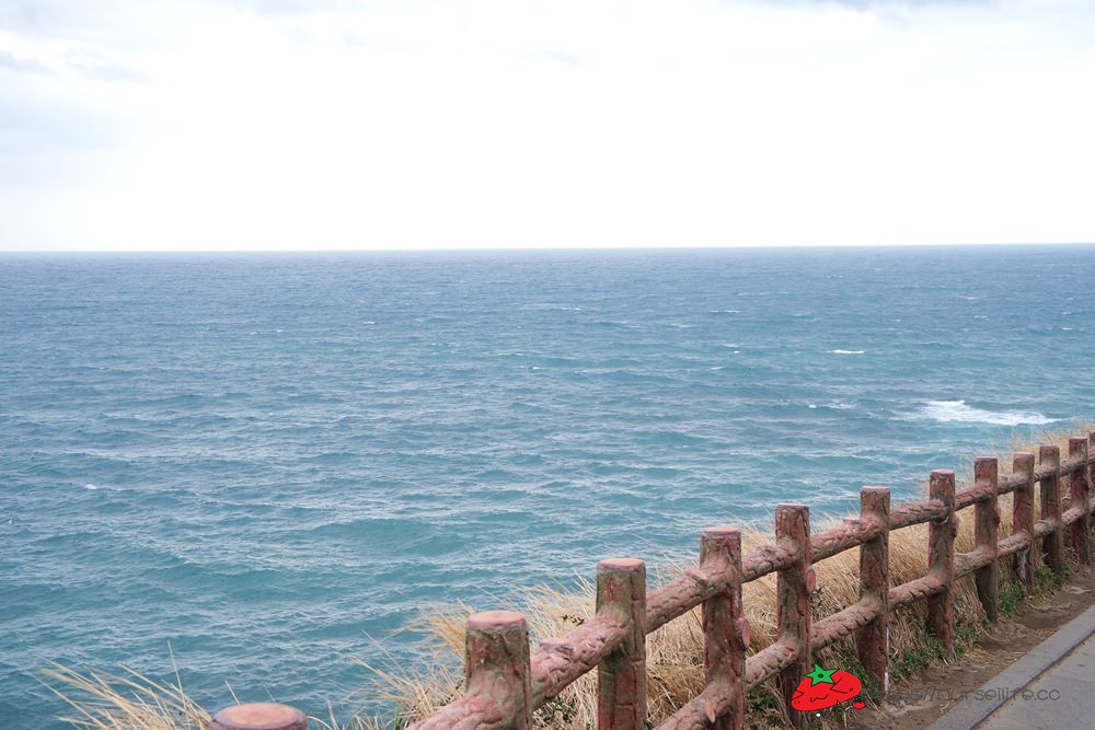 韓國、濟州島｜濟州島包車好easy．漢拿山、高空滑索、洞窟咖啡、涉地可支、城邑民俗村、城山日出峰一次滿足 - nurseilife.cc