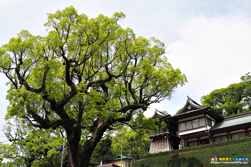 長崎｜鎮西大社諏訪神社．充滿寧靜力量的除厄神社 - nurseilife.cc