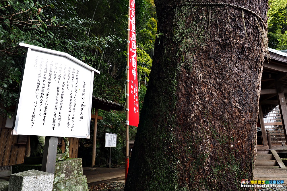 長崎｜鎮西大社諏訪神社．充滿寧靜力量的除厄神社 - nurseilife.cc