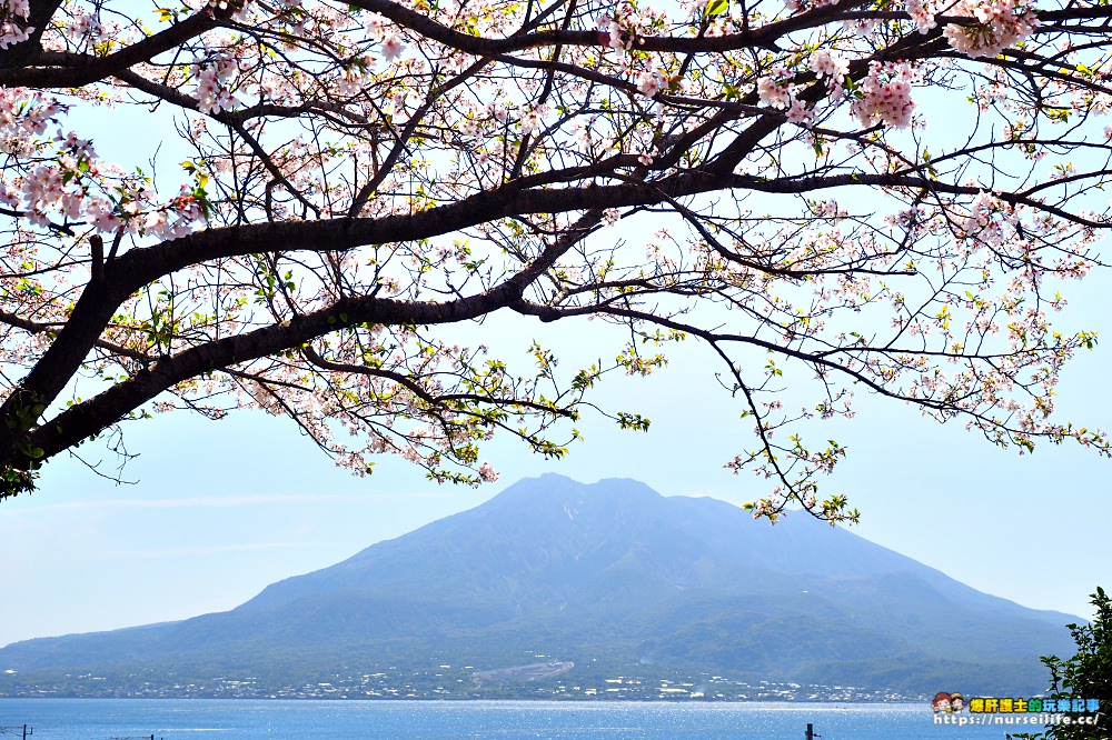 鹿兒島｜仙嚴園．世界遺產的諸侯庭園 - nurseilife.cc