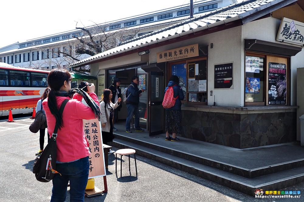 東京賞櫻巴士｜小田原城賞櫻‧箱根海賊船‧富士河口湖櫻花祭‧螃蟹吃到飽套裝行程 - nurseilife.cc