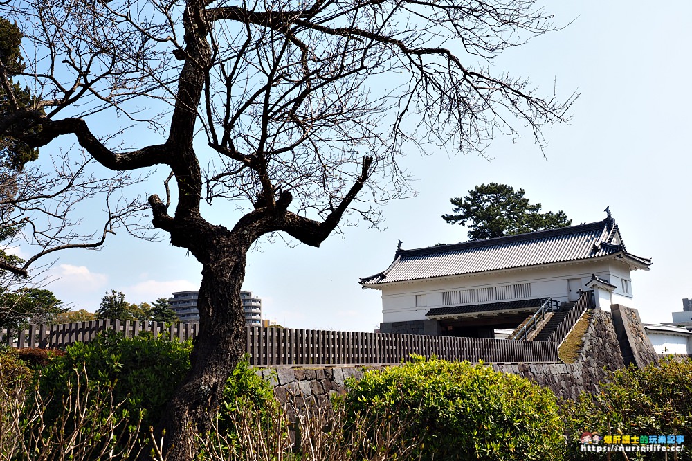 東京賞櫻巴士｜小田原城賞櫻‧箱根海賊船‧富士河口湖櫻花祭‧螃蟹吃到飽套裝行程 - nurseilife.cc