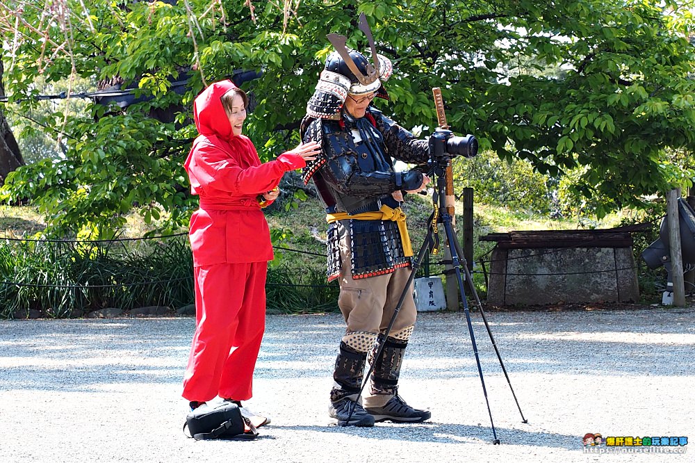 東京賞櫻巴士｜小田原城賞櫻‧箱根海賊船‧富士河口湖櫻花祭‧螃蟹吃到飽套裝行程 - nurseilife.cc