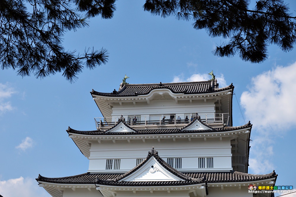 東京賞櫻巴士｜小田原城賞櫻‧箱根海賊船‧富士河口湖櫻花祭‧螃蟹吃到飽套裝行程 - nurseilife.cc