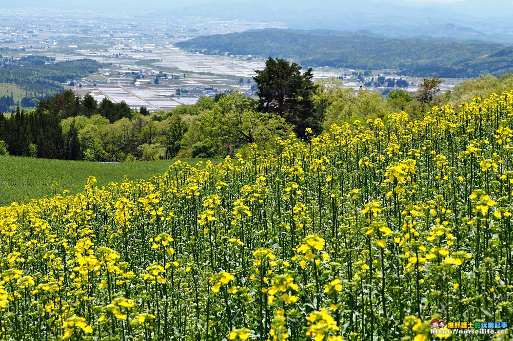 福島、喜多方｜三ノ倉高原花畑．徜徉在夏日的金黃浪漫 - nurseilife.cc