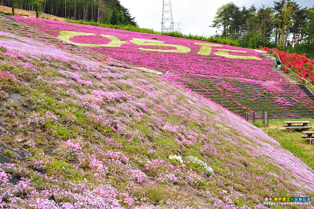 福島｜平田村芝櫻．滿山杜鵑芝櫻的萬紫千紅 - nurseilife.cc