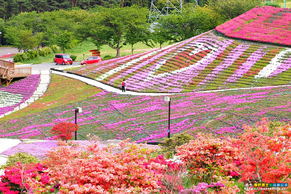 福島｜平田村芝櫻．滿山杜鵑芝櫻的萬紫千紅 - nurseilife.cc