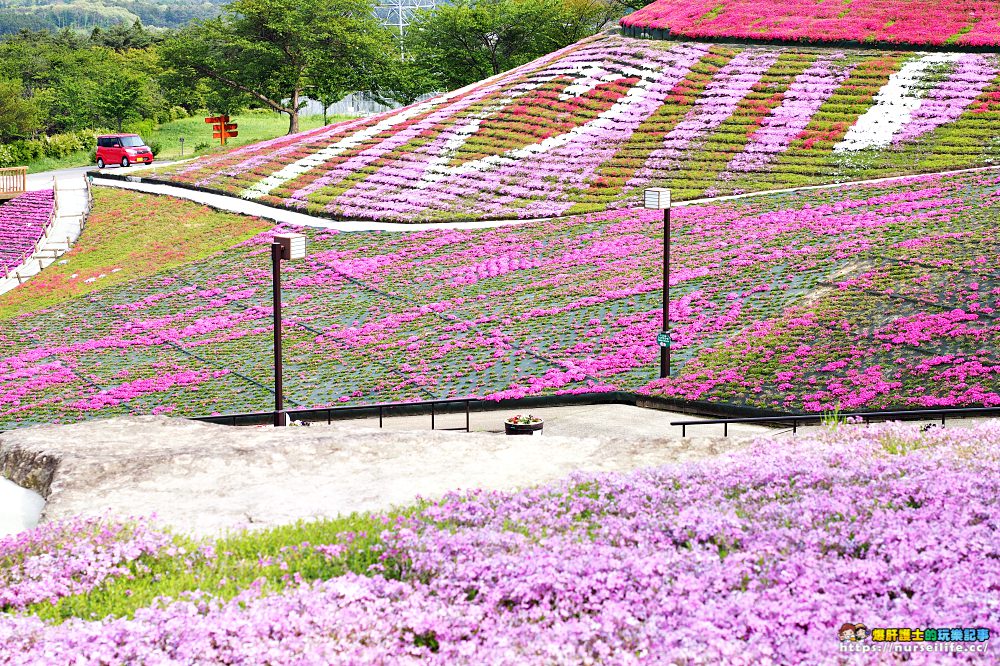 福島｜平田村芝櫻．滿山杜鵑芝櫻的萬紫千紅 - nurseilife.cc