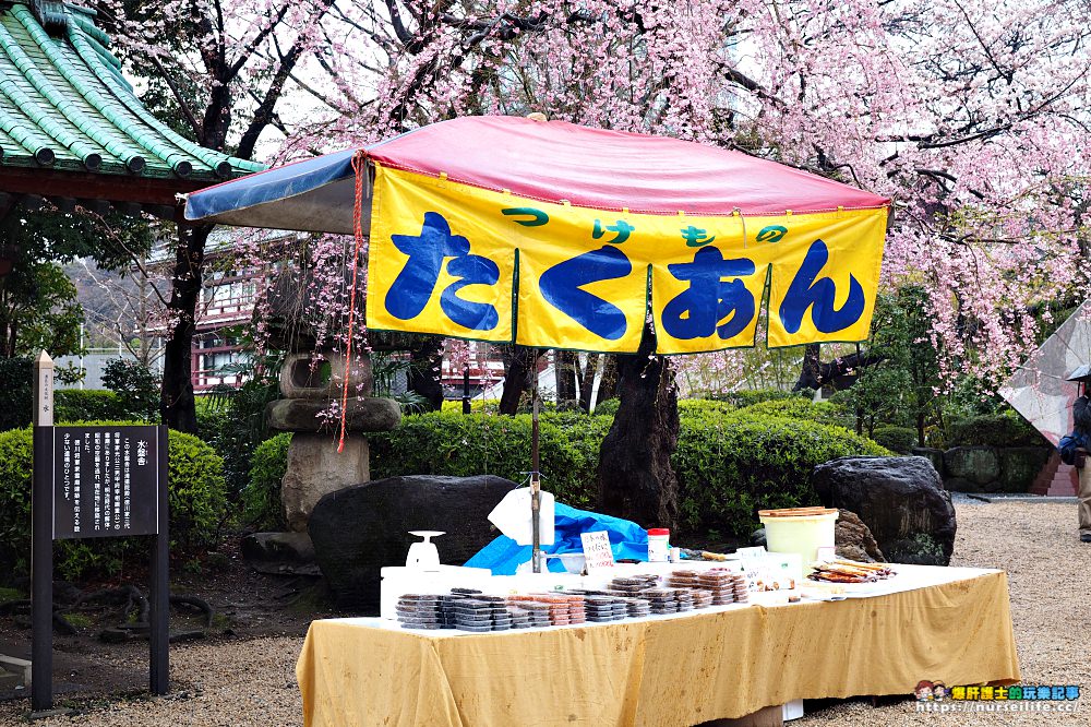 東京｜東京鐵塔航海王主題樂園．我要成為海賊王！ - nurseilife.cc