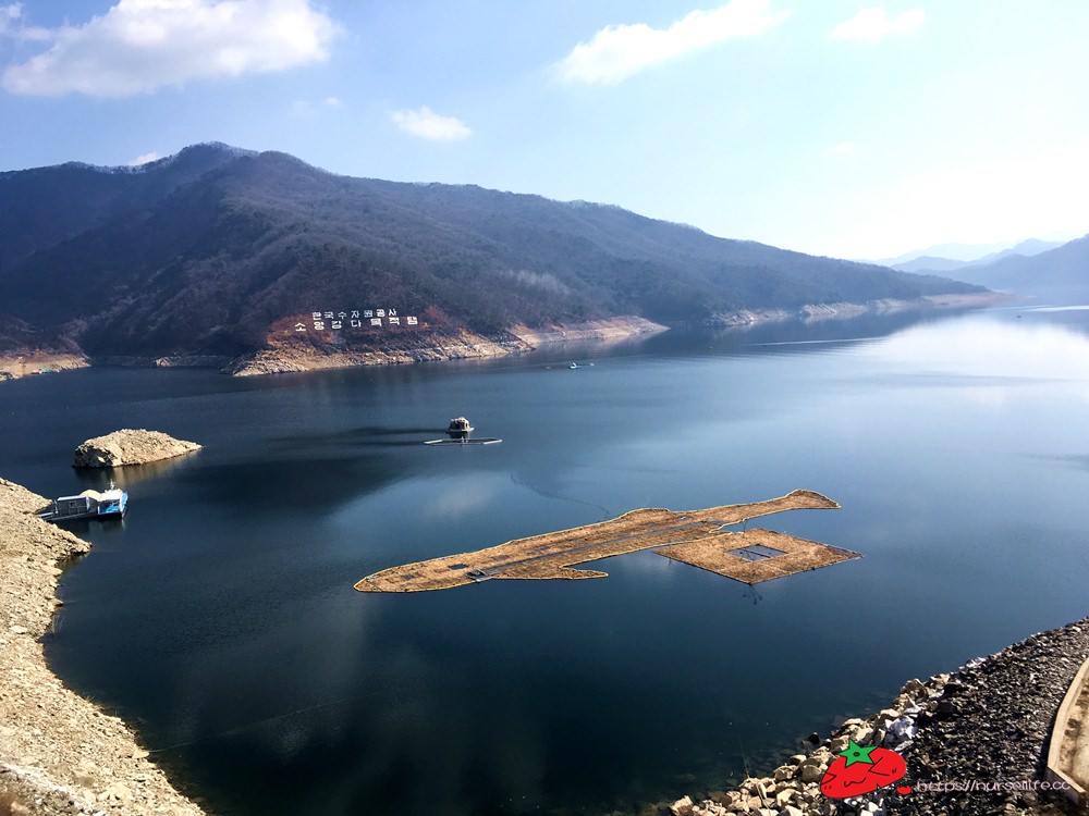 韓國、江原道｜春川City Tour，江村鐵道腳踏車、江原道立花木園、昭陽大壩、金裕貞文學院、昭陽江Sky walk一次走透透 - nurseilife.cc