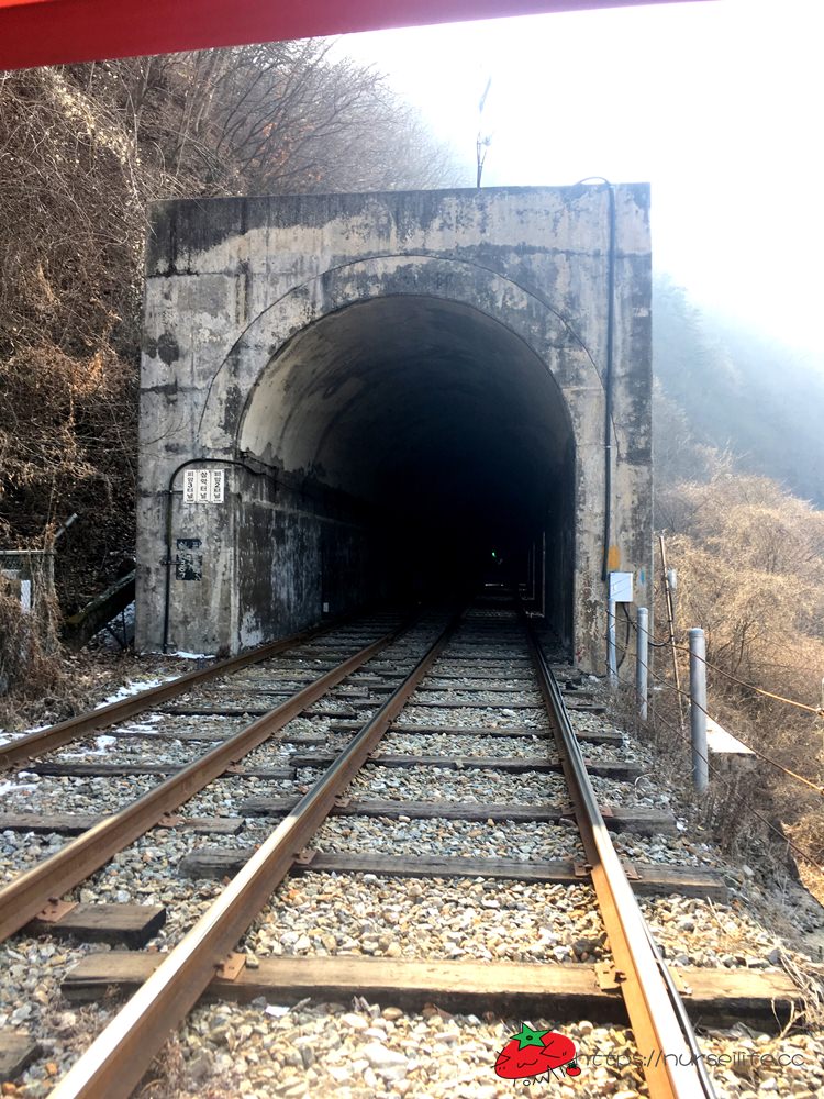 韓國、江原道｜春川City Tour，江村鐵道腳踏車、江原道立花木園、昭陽大壩、金裕貞文學院、昭陽江Sky walk一次走透透 - nurseilife.cc