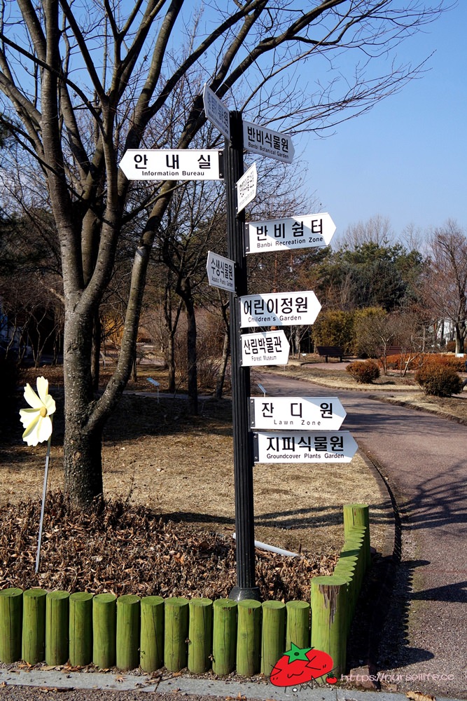 韓國、江原道｜春川City Tour，江村鐵道腳踏車、江原道立花木園、昭陽大壩、金裕貞文學院、昭陽江Sky walk一次走透透 - nurseilife.cc