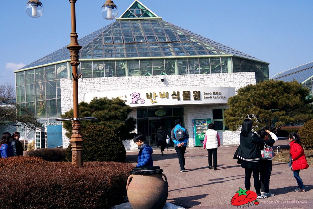 韓國、江原道｜春川City Tour，江村鐵道腳踏車、江原道立花木園、昭陽大壩、金裕貞文學院、昭陽江Sky walk一次走透透 - nurseilife.cc