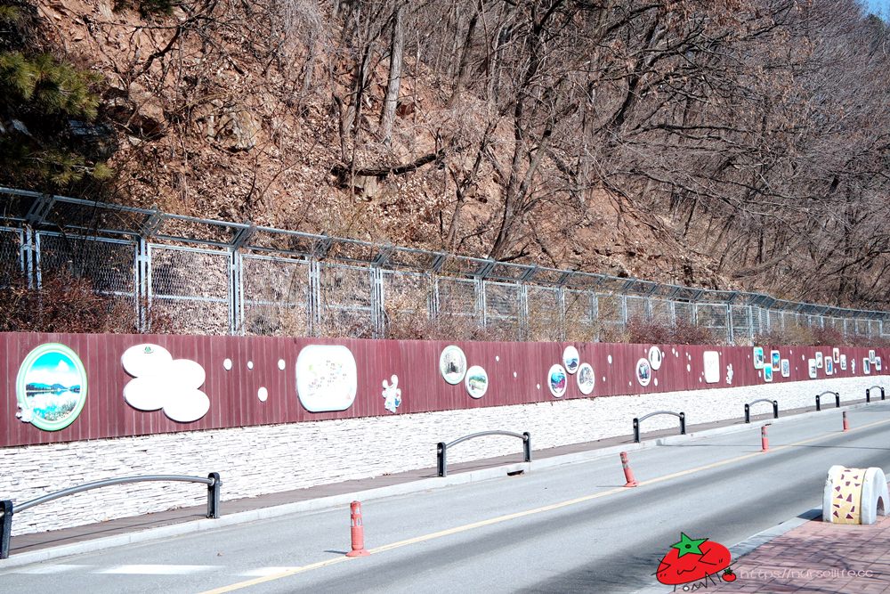 韓國、江原道｜春川City Tour，江村鐵道腳踏車、江原道立花木園、昭陽大壩、金裕貞文學院、昭陽江Sky walk一次走透透 - nurseilife.cc