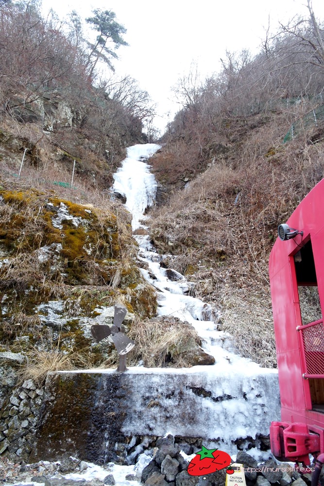 韓國、江原道｜春川City Tour，江村鐵道腳踏車、江原道立花木園、昭陽大壩、金裕貞文學院、昭陽江Sky walk一次走透透 - nurseilife.cc