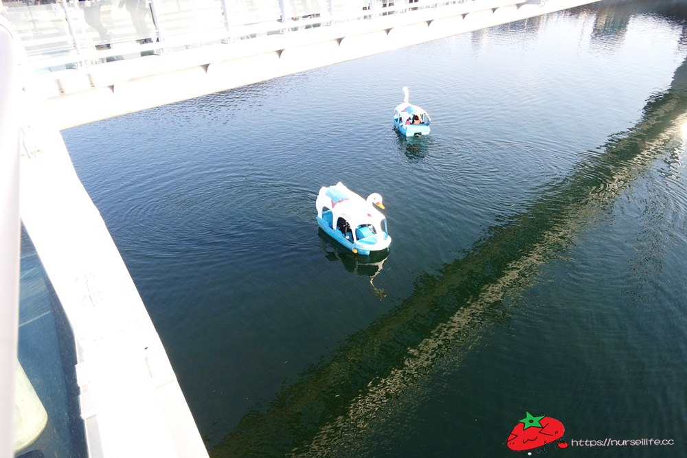 韓國、江原道｜春川City Tour，江村鐵道腳踏車、江原道立花木園、昭陽大壩、金裕貞文學院、昭陽江Sky walk一次走透透 - nurseilife.cc