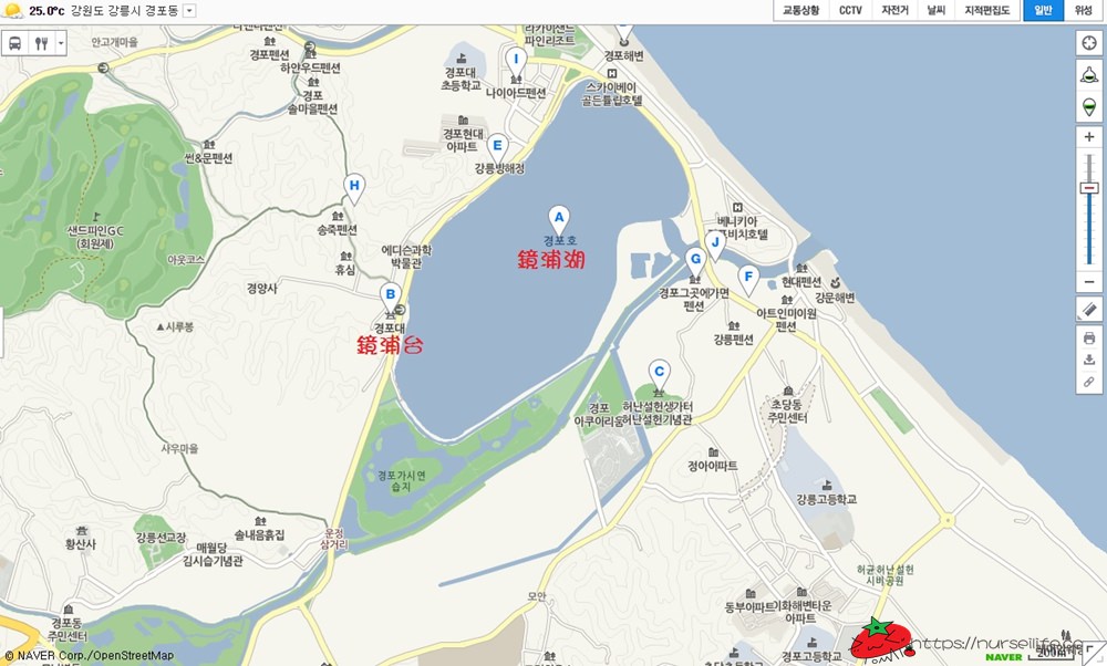 韓國、江原道｜江陵鏡浦臺瞭望鏡浦湖．環湖公園讓你散策好愜意 - nurseilife.cc