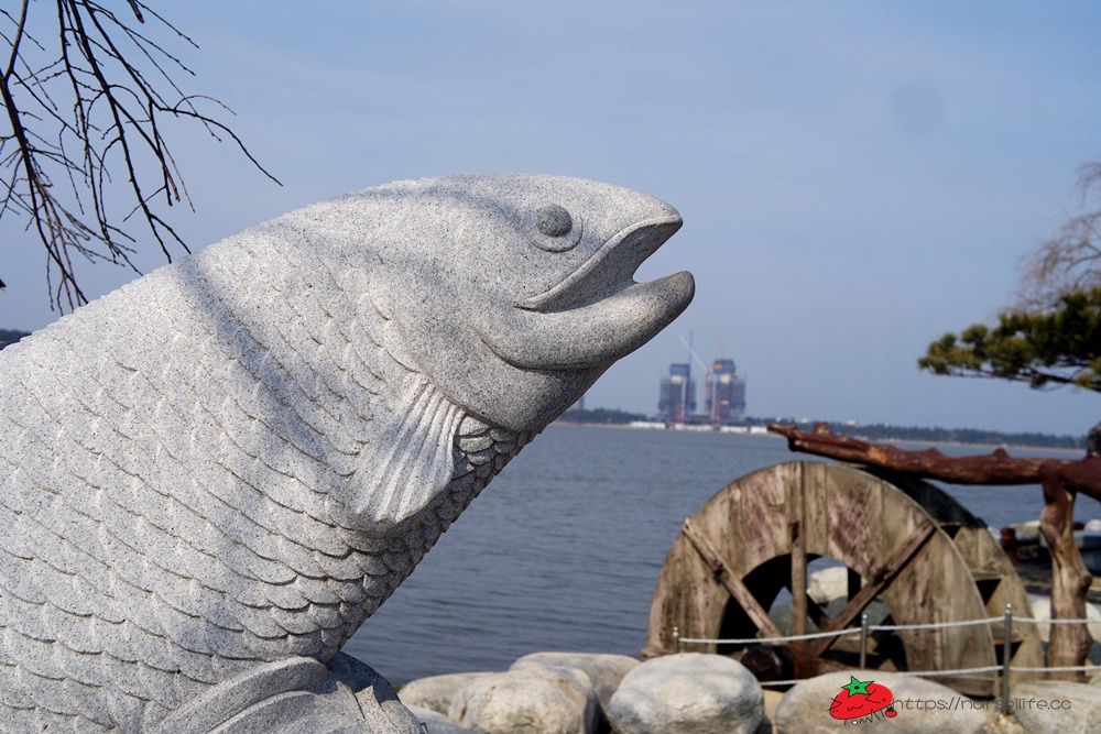 韓國、江原道｜江陵鏡浦臺瞭望鏡浦湖．環湖公園讓你散策好愜意 - nurseilife.cc