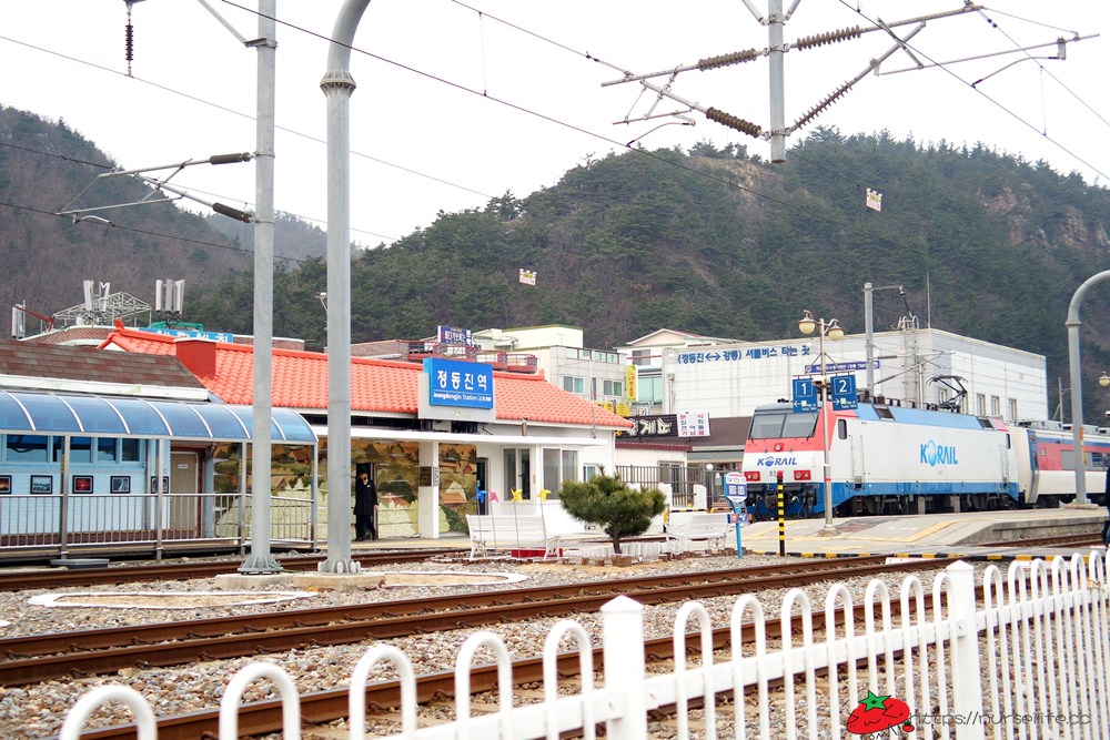 韓國、江原道｜正東津看日出．韓國東海岸線遊玩讓你一點通 - nurseilife.cc