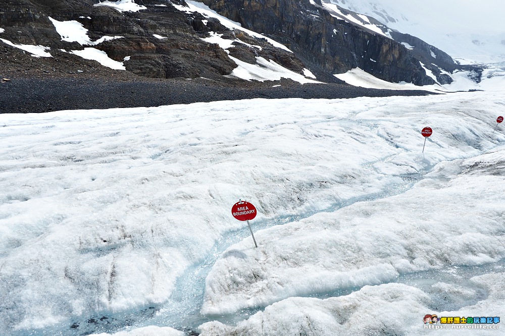 加拿大｜Columbia Icefield ．世界唯一搭車可到的哥倫比亞冰原 - nurseilife.cc