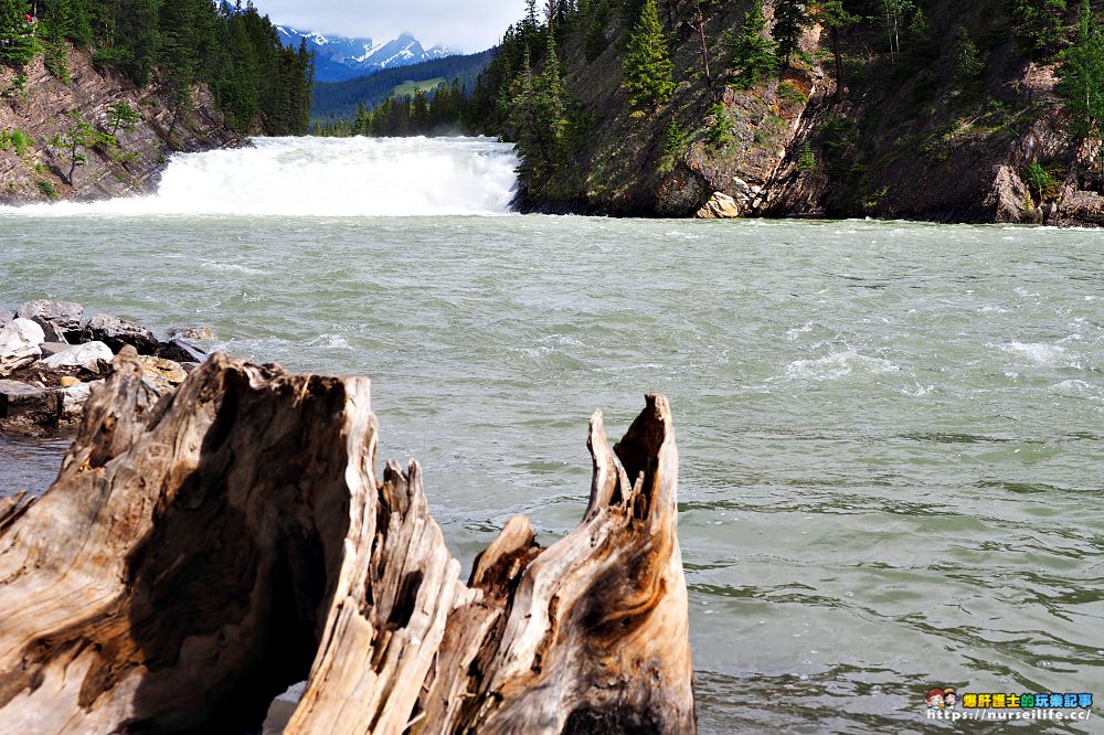 加拿大｜弓河瀑布 Bow Falls．大江東去景色依舊 - nurseilife.cc