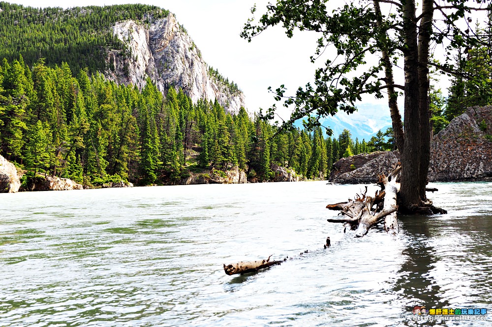 加拿大｜弓河瀑布 Bow Falls．大江東去景色依舊 - nurseilife.cc