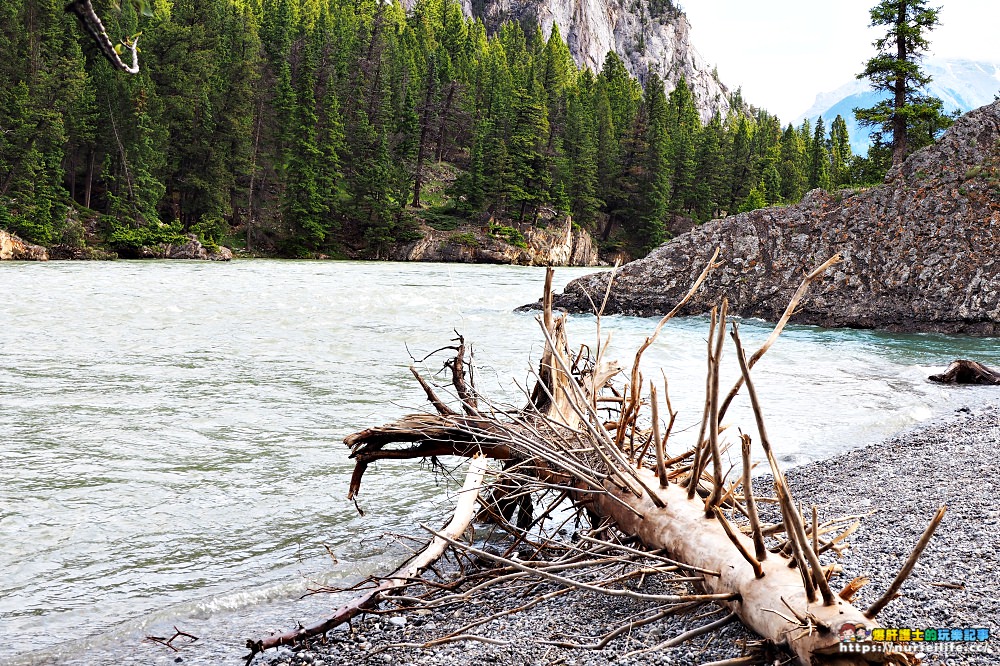 加拿大｜弓河瀑布 Bow Falls．大江東去景色依舊 - nurseilife.cc