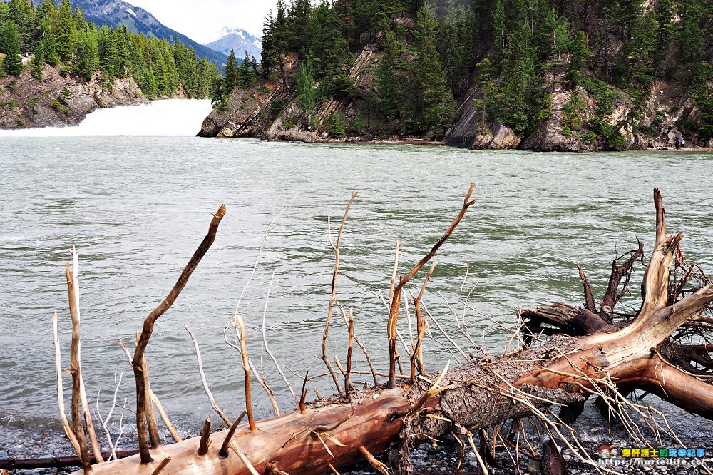 加拿大｜弓河瀑布 Bow Falls．大江東去景色依舊 - nurseilife.cc