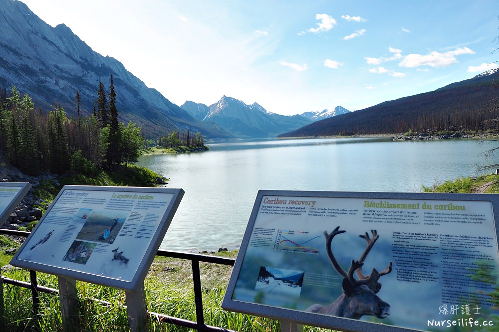 加拿大｜魔法湖 Medicine Lake．會消失的魔幻之湖 - nurseilife.cc