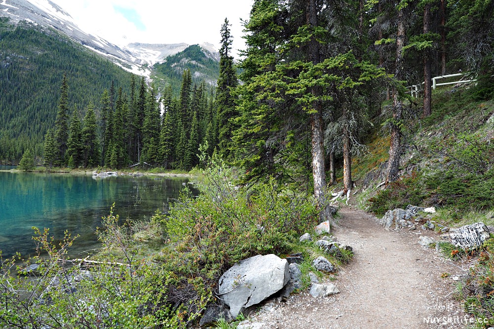 加拿大｜瑪琳湖 Maligne Lake．遊船探訪精靈島 - nurseilife.cc