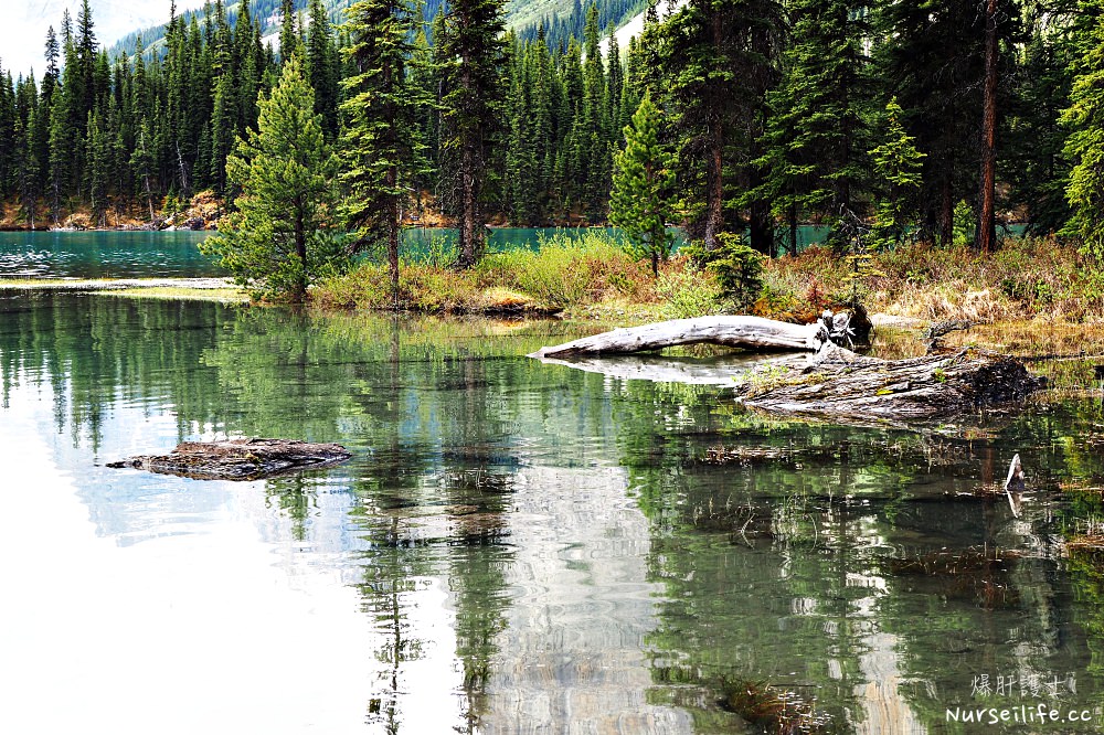 加拿大｜瑪琳湖 Maligne Lake．遊船探訪精靈島 - nurseilife.cc