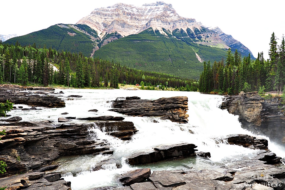 加拿大｜阿薩巴斯卡瀑布 Athabasca Falls．近距離感受萬年奔馳的衝擊 - nurseilife.cc