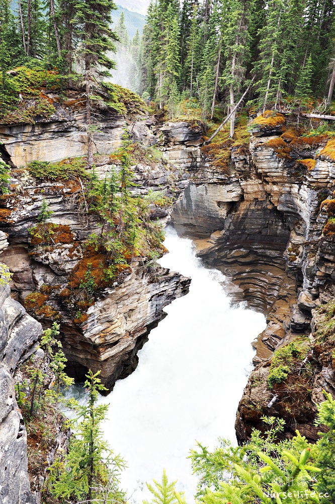 加拿大｜阿薩巴斯卡瀑布 Athabasca Falls．近距離感受萬年奔馳的衝擊 - nurseilife.cc