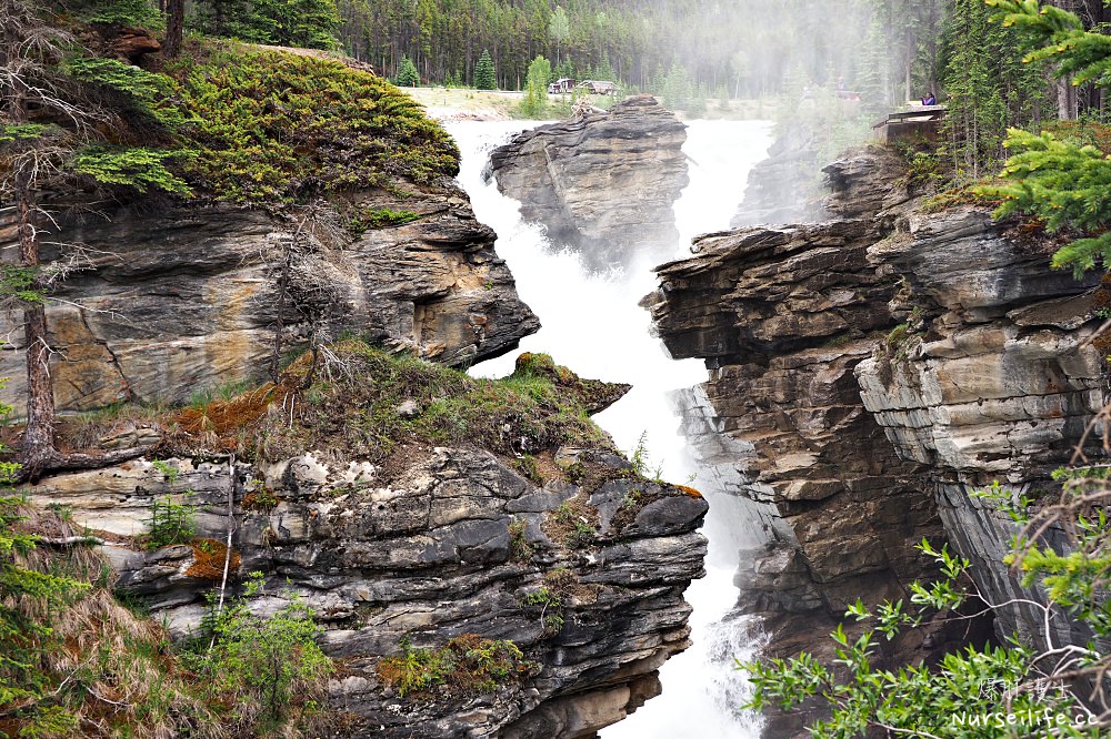 加拿大｜阿薩巴斯卡瀑布 Athabasca Falls．近距離感受萬年奔馳的衝擊 - nurseilife.cc