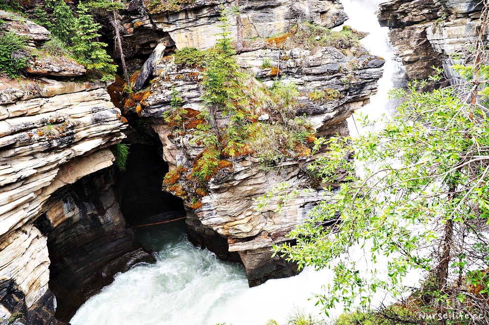 加拿大｜阿薩巴斯卡瀑布 Athabasca Falls．近距離感受萬年奔馳的衝擊 - nurseilife.cc