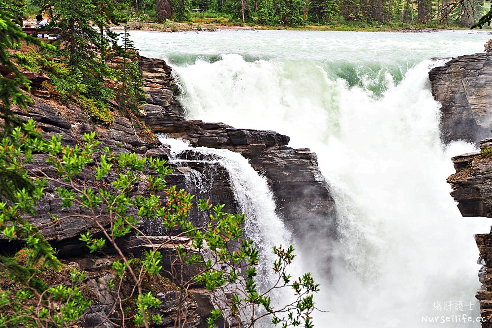 加拿大｜阿薩巴斯卡瀑布 Athabasca Falls．近距離感受萬年奔馳的衝擊 - nurseilife.cc