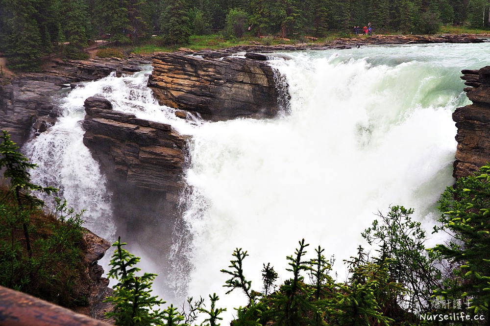 加拿大｜阿薩巴斯卡瀑布 Athabasca Falls．近距離感受萬年奔馳的衝擊 - nurseilife.cc