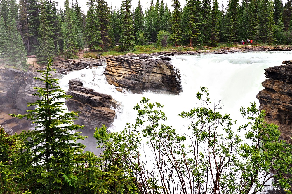 加拿大｜阿薩巴斯卡瀑布 Athabasca Falls．近距離感受萬年奔馳的衝擊 - nurseilife.cc