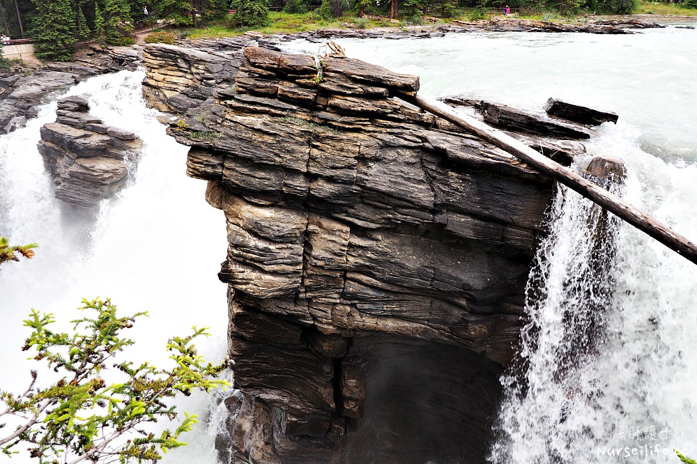 加拿大｜阿薩巴斯卡瀑布 Athabasca Falls．近距離感受萬年奔馳的衝擊 - nurseilife.cc