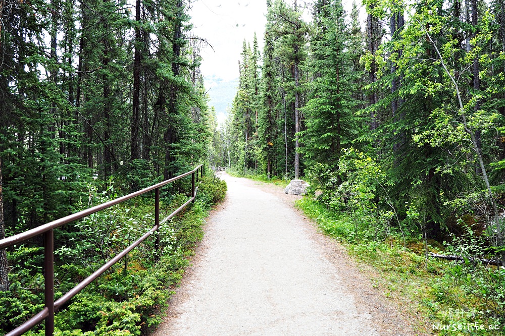 加拿大｜阿薩巴斯卡瀑布 Athabasca Falls．近距離感受萬年奔馳的衝擊 - nurseilife.cc