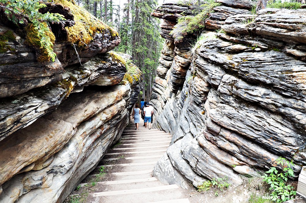 加拿大｜阿薩巴斯卡瀑布 Athabasca Falls．近距離感受萬年奔馳的衝擊 - nurseilife.cc