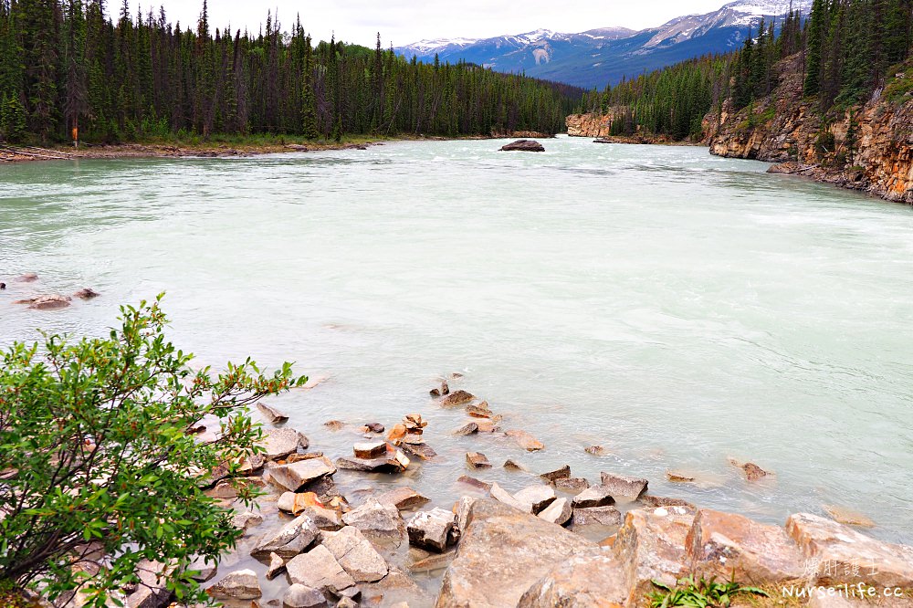 加拿大｜阿薩巴斯卡瀑布 Athabasca Falls．近距離感受萬年奔馳的衝擊 - nurseilife.cc