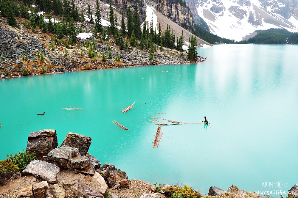 加拿大｜莫琳湖Moraine Lake．仙境不就是如此 - nurseilife.cc