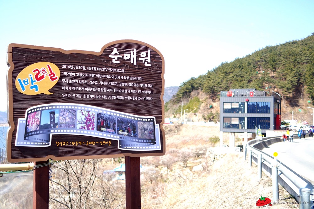 釜山｜搭乘無窮花號到院洞的韓綜兩天一夜拍攝地．純梅園野餐賞梅超方便 - nurseilife.cc