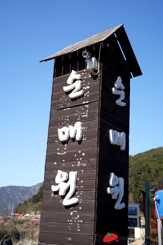 釜山｜搭乘無窮花號到院洞的韓綜兩天一夜拍攝地．純梅園野餐賞梅超方便 - nurseilife.cc