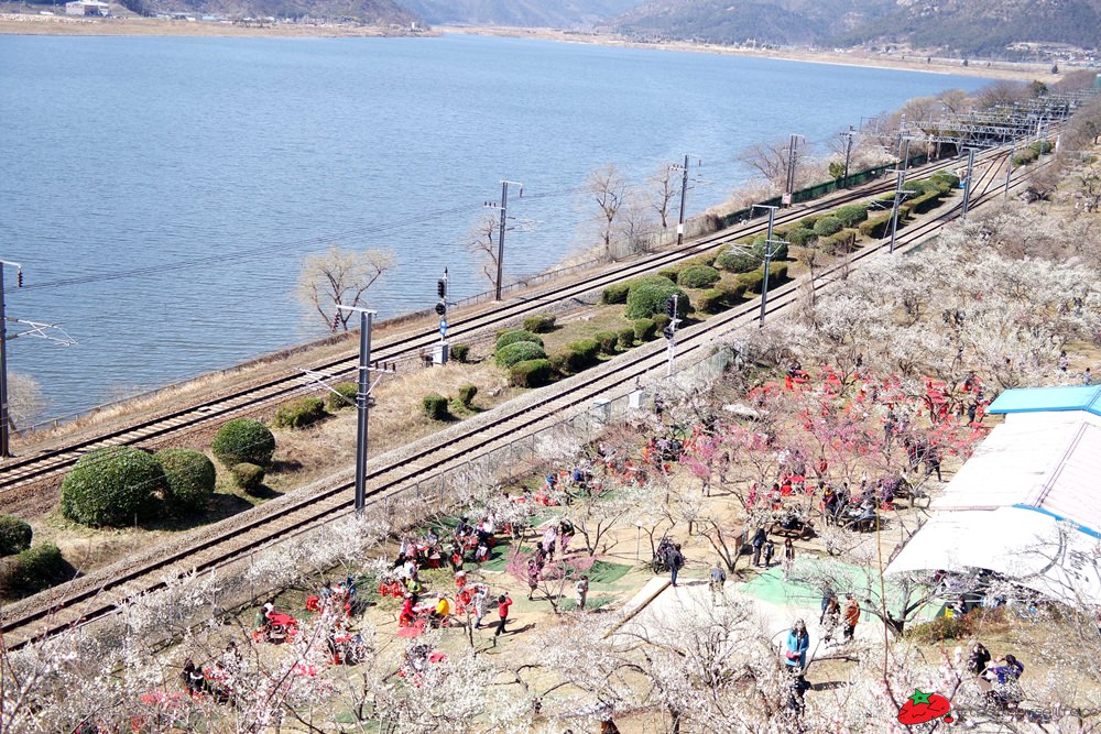 釜山｜搭乘無窮花號到院洞的韓綜兩天一夜拍攝地．純梅園野餐賞梅超方便 - nurseilife.cc