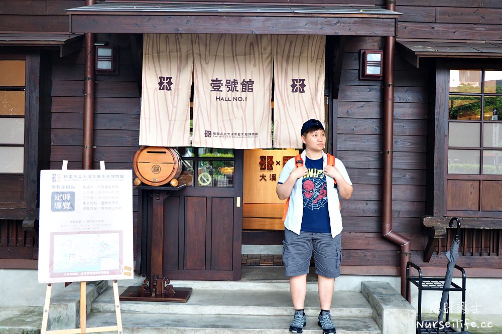 桃園《神之鄉》一日遊｜跟著陣頭遶境大溪巷弄．探訪小鎮文藝與古城美食 - nurseilife.cc