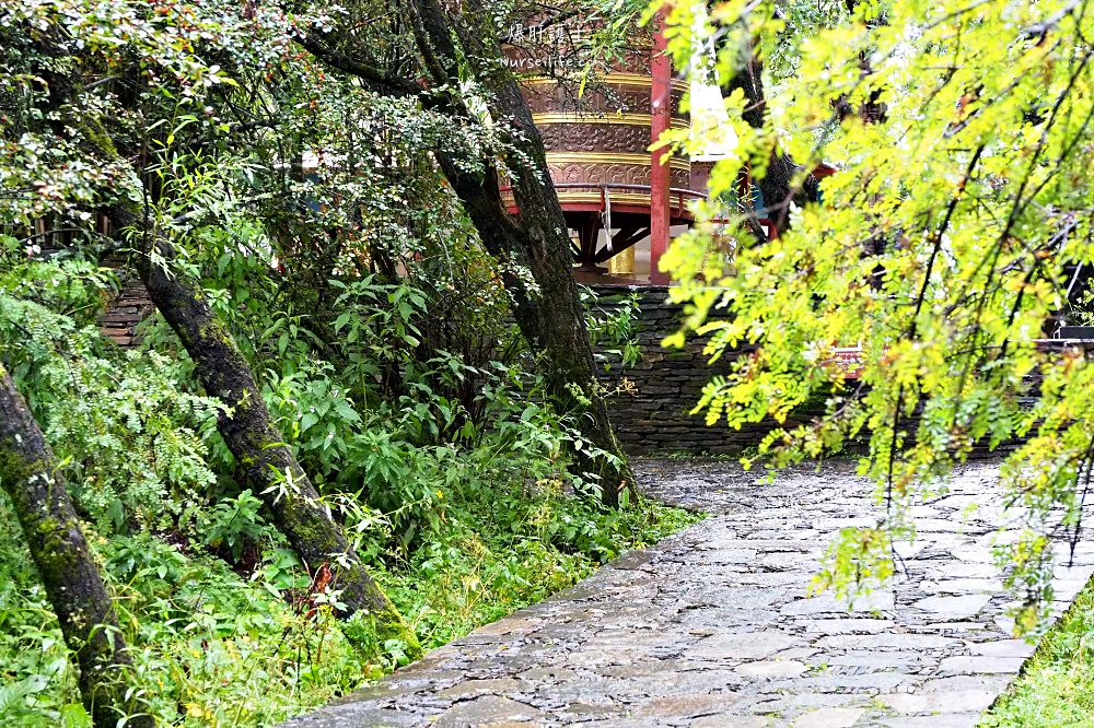 中國、西藏｜巴松措湖心島．轉島祈福之旅 - nurseilife.cc