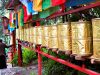 中國、西藏｜巴松措湖心島．轉島祈福之旅