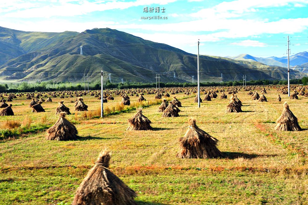 中國、西藏｜前進山南桑耶寺．尋覓心中的寧靜 - nurseilife.cc